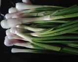 લીલી ડુંગળી નુ શાક(Green onion Shaak Recipe in Gujarati) રેસીપી સ્ટેપ1ફોટો