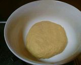 Foto langkah ke 1 dari resep Pizza homemade.