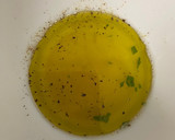 Foto del paso 6 de la receta: Tabulé con espárragos trigueros
