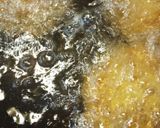 A picture of step 3 of Deviled Tuna Pucks.