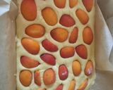 Sárgabarackos sütemény recept fázis 3 fotója
