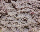 A picture of step 3 of Shami kabab.