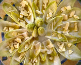 Foto del paso 3 de la receta: Barquitas de endivias con salmón marinado, queso y pistachos