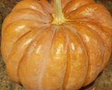 Foto del paso 1 de la receta: Calabaza de Castilla con piloncillo