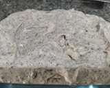 Foto del paso 3 de la receta: Helado de oreo