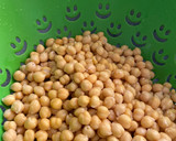 Foto del paso 3 de la receta: Guisado de garbanzos con acelgas muy rápido