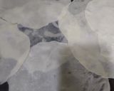 A picture of step 4 of Pragris.