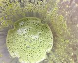 Foto del paso 1 de la receta: Panquecas de espinaca y huevo