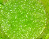 A picture of step 1 of Palak mix sabji.
