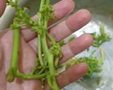 Foto langkah ke 1 dari resep Tumis bunga pepaya teri.