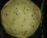 A picture of step 6 of Patties.