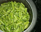 A picture of step 1 of Castor beans.