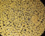 A picture of step 7 of Boondi ky ladu.