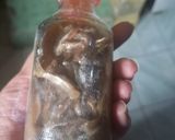 Foto langkah ke 1 dari resep Mee Khmer.