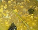Foto langkah ke 6 dari resep Ayam Palekko.