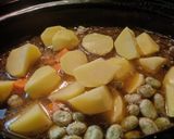 Foto del paso 10 de la receta: Judías pintas con patatas, preparado para guisos y habas