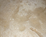 A picture of step 3 of Simple Chapati.