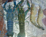 Foto langkah ke 1 dari resep Asam manis pedas udang lobster.