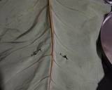 Arum  leaves  Discs (colocasia leaves pinwheels) recipe step 1 photo