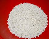Sabudana Kheer recipe step 1 photo