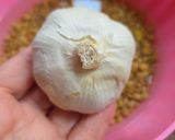 Foto del paso 2 de la receta: Lentejas al ajillo 🥣 Lentejas, si quieres las comes o si no las dejas ☺️Special for garlic lovers ❤️🧄