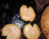 Foto langkah ke 2 dari resep Jengkol Rendang.