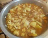 A picture of step 16 of Cauliflower and Potato.