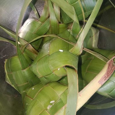 Langkah 1