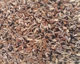 পাঁচফোড়ন মশলা(panchforon masala recipe in Bengali) রেসিপির ধাপ 3 ছবি