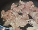 A picture of step 2 of Dahi chicken.