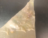 Foto del paso 10 de la receta: Empanadas de masa philo#mirecetario