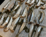 Foto del paso 2 de la receta: Sardinas al horno sin olor y con eneldo fresco