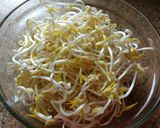 Foto del paso 9 de la receta Brotes de soja (dientes de dragón) caseros