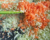 Foto del paso 2 de la receta: Hamburguesas de repollo🍈 y cerdo🐷