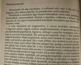Marhapörkölt bográcsban, szabadtűzon recept fázis 1 fotója