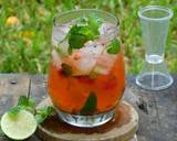 Cara Membuat Strawberry Mojito 5