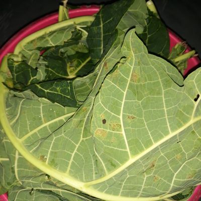 Langkah 1