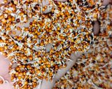 A picture of step 1 of Sprouted ragi salad.