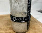 Foto del paso 1 de la receta: Hogaza Rústica en horno holandés