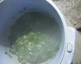 A picture of step 2 of Grilled Gauva in Spinach Apple Curry.