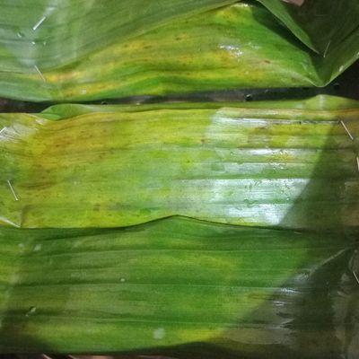 Langkah 5