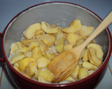 Foto del paso 4 de la receta: Mermelada de manzana a la canela