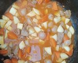 A picture of step 4 of Lamb stew.