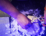 Foto del paso 16 de la receta: Como hacer Pan en casa FÁCIL y RÁPIDO