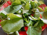 બ્રાહ્મી ટિક્કી. (Brahmi Leaves Tikki Recipe in Gujarati)