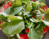 બ્રાહ્મી ટિક્કી. (Brahmi Leaves Tikki Recipe in Gujarati) રેસીપી સ્ટેપ1ફોટો
