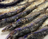 Foto del paso 2 de la receta: Sardinas al horno sin olor en la cocina