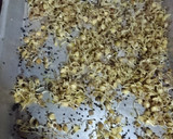 Foto del paso 4 de la receta: Brotes de lentejas 🌱 (3 opciones) 😉 😁