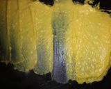 A picture of step 6 of Khandvi.