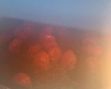 Foto del paso 3 de la receta Tomates cherry asados en microondas